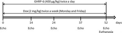 Growth hormone releasing peptide-6 (GHRP-6) prevents doxorubicin-induced myocardial and extra-myocardial damages by activating prosurvival mechanisms